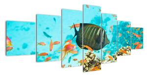 Obraz rýb v akváriami (Obraz 210x100cm)