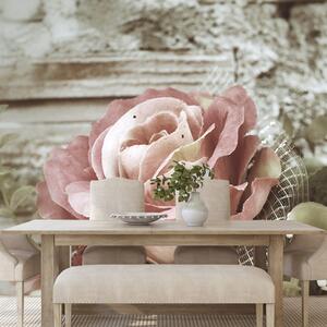 Fototapeta elegantná vintage ruža