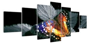 Motýľ na liste - obraz (Obraz 210x100cm)