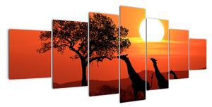 Obraz žirafy pri západe slnka (Obraz 210x100cm)