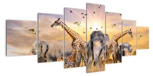 Obraz - safari (Obraz 210x100cm)