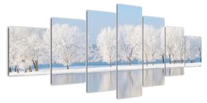 Obraz - zimná príroda (Obraz 210x100cm)