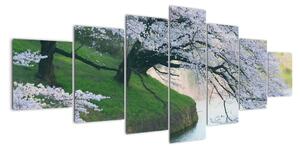Obraz kvitnúcich stromov (Obraz 210x100cm)