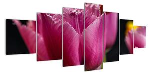 Tulipány - obrazy (Obraz 210x100cm)