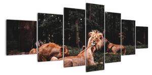 Obrazy - levy v lese (Obraz 210x100cm)