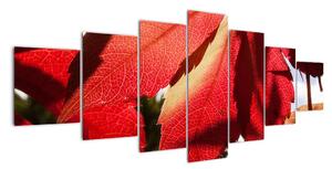 Obraz červených listov (Obraz 210x100cm)