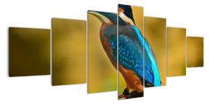 Obraz - farebný vták (Obraz 210x100cm)