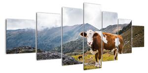 Obraz kravy na lúke (Obraz 210x100cm)