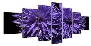 Obraz fialových kvetov (Obraz 210x100cm)