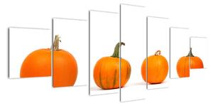 Obraz - oranžové tekvice (Obraz 210x100cm)