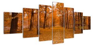 Obraz lesné cesty (Obraz 210x100cm)