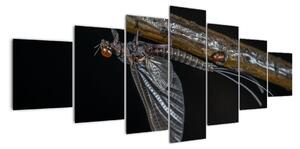 Obraz - hmyz (Obraz 210x100cm)