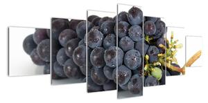 Obraz s hroznovým vínom (Obraz 210x100cm)