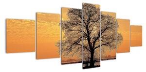 Obraz sa stromom (Obraz 210x100cm)