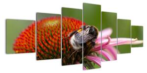 Obraz včely na kvete (Obraz 210x100cm)