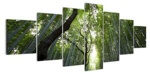 Obraz lesov (Obraz 210x100cm)