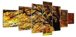 Obraz jesennej krajiny (Obraz 210x100cm)