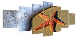 Obraz s morskou hviezdou (Obraz 210x100cm)