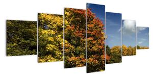 Jesenná krajina, obraz (Obraz 210x100cm)