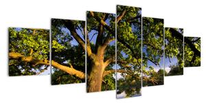 Obraz stromu (Obraz 210x100cm)
