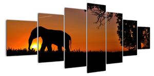 Obraz slona v prírode (Obraz 210x100cm)