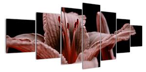 Detail kvety - obraz (Obraz 210x100cm)