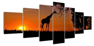 Obraz žirafy v prírode (Obraz 210x100cm)