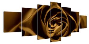 Obraz ruže (Obraz 210x100cm)