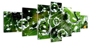 Kvapky vody - obrazy (Obraz 210x100cm)
