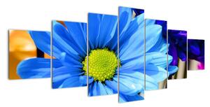 Modrá chryzantéma - obrazy (Obraz 210x100cm)