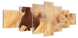 Cválajúci kôň - obraz (Obraz 210x100cm)