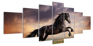 Kôň - obraz (Obraz 210x100cm)