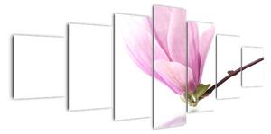 Kvet - obraz (Obraz 210x100cm)
