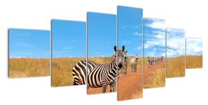 Zebra na ceste - obraz (Obraz 210x100cm)