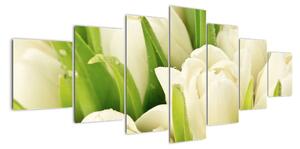 Detail tulipánov - obraz (Obraz 210x100cm)