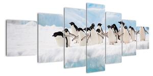 Tučniaci - obraz (Obraz 210x100cm)