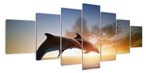 Delfíny - obraz (Obraz 210x100cm)