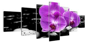 Obraz orchideí (Obraz 210x100cm)