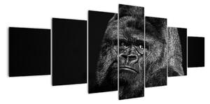 Obraz opice (Obraz 210x100cm)