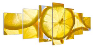 Plátky citrónov - obraz (Obraz 210x100cm)