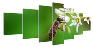 Fotka včely - obraz (Obraz 210x100cm)