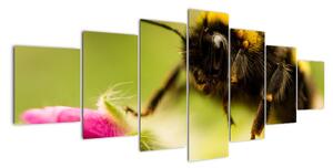 Včela - obraz (Obraz 210x100cm)