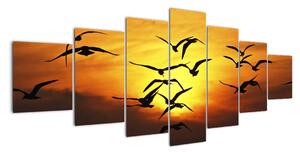 Obraz letiacich vtákov (Obraz 210x100cm)
