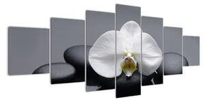 Kvet orchidey - moderný obraz (Obraz 210x100cm)