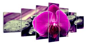 Obraz orchidey (Obraz 210x100cm)