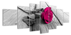 Obrazy kvetov - ruža (Obraz 210x100cm)