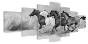Obraz cválajúci koňov (Obraz 210x100cm)