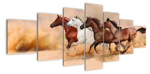 Obraz kôň (Obraz 210x100cm)