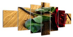 Ležiaci ruža - obraz (Obraz 210x100cm)