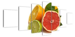 Citrusové plody - obraz (Obraz 210x100cm)